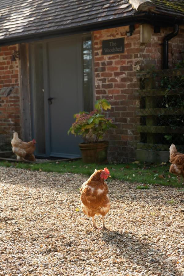 Street Farmhouse Godshill  Exterior photo